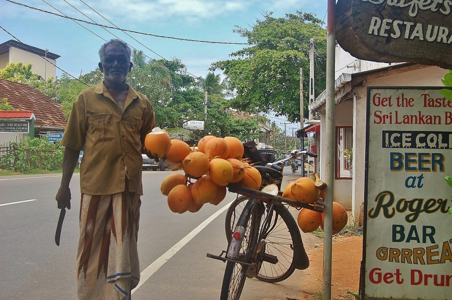 Będąc na Sri Lance zobaczycie dużo sprzedawców kokosów.