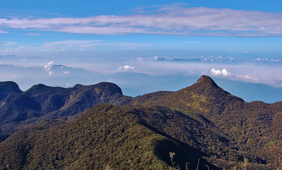 View of Adam's Peak (Sri Pada). Sri Lanka.