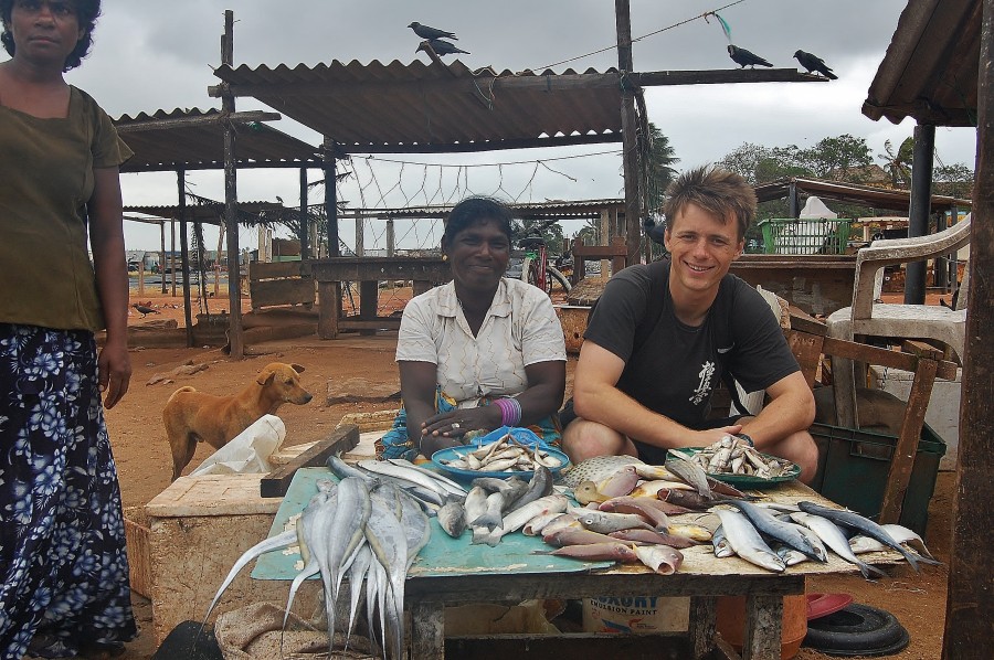 Na bazarze rybnym w Negombo. W Oceanie Indyjskim pływa wiele pysznych ryb, które są przygotowywane na plażach pod palmami. Sri Lanka.