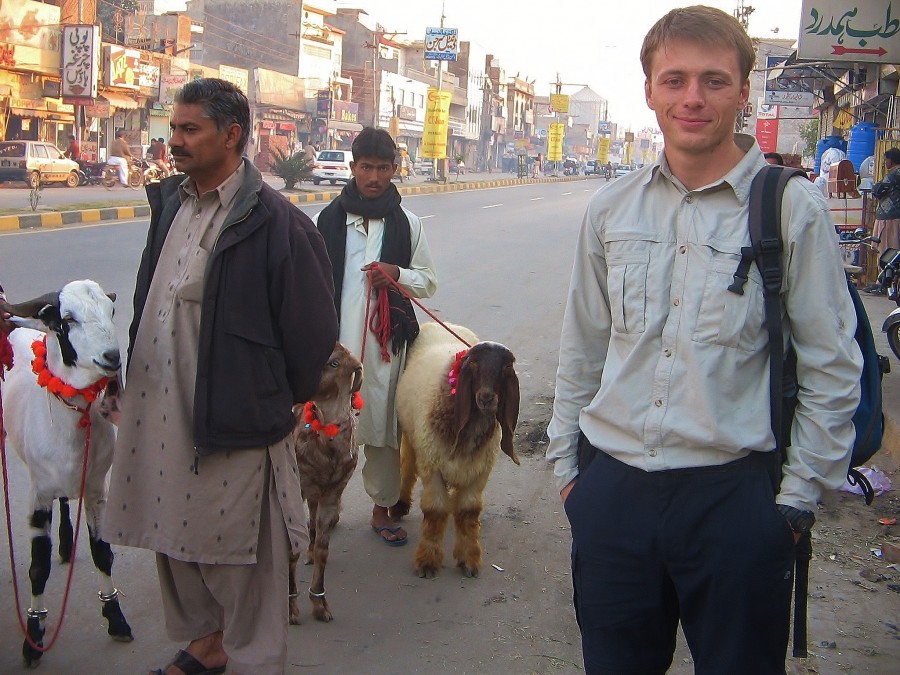 Z jakiegoś powodu muzułmanie kochają kozy. Lahore, Pakistan.