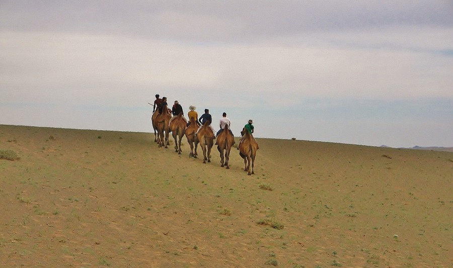 Camel riding in the Gobi Desert. Mongolia.