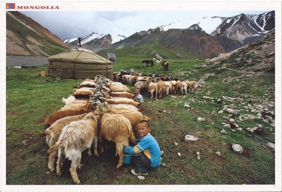 mongolia-postcard