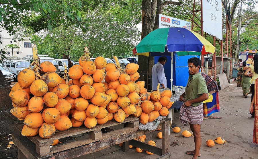 Selling coconuts is a popular occupation in Sri Lanka.