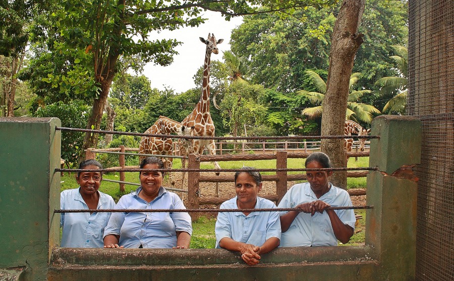 Zoo Dehiwala. Colombo. Sri Lanka.