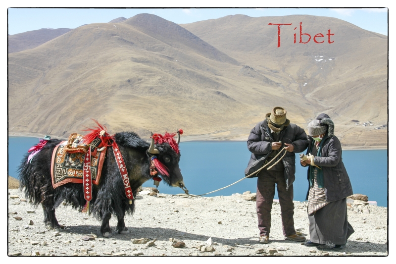 tibetpostcard