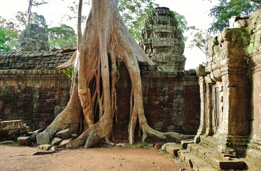 , Expedition to Cambodia 2012, Compass Travel Guide