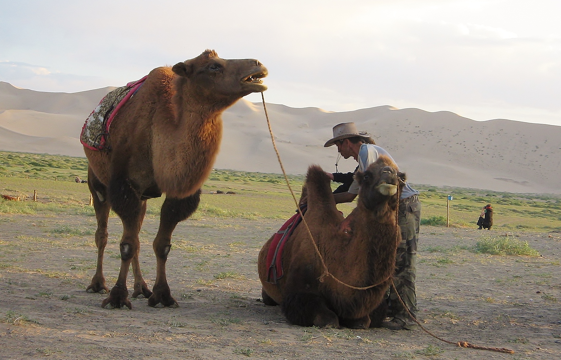 , Mongolia, Kompas Travel