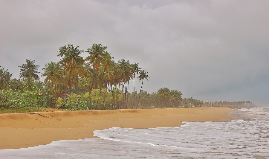 Jedna z wielu uroczych plaż na Sri Lance.