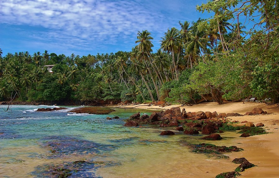 Mirissa to jedna z najlepszych plaż na Sri Lance.