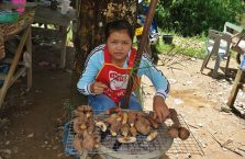 Laos - dziewczyna i jej stragan.