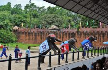 Tajlandia - słonie podczas pokazu.