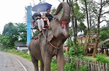 Tajlandia - przejażdżka na słoniu.