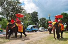 Tajlandia - słoń wożący turystów.