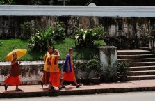 Laos - mnisi.