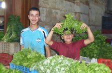 Liban - chłopcy na bazarze.