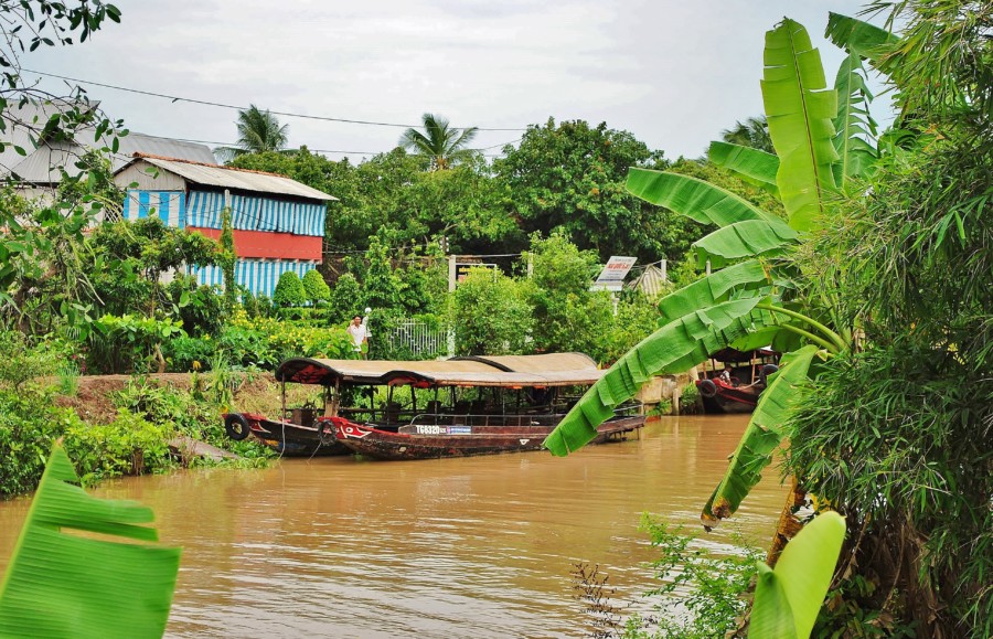 Delta rzeki Mekong. Wietnam.