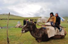 Kirgistan - dzieci na wielbłądzie.