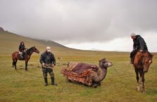 Kirgistan - Kirgizi zakładają jurtę na wielbłąda.