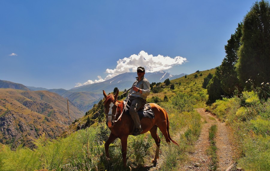 Na koniu przez Kazachstan.