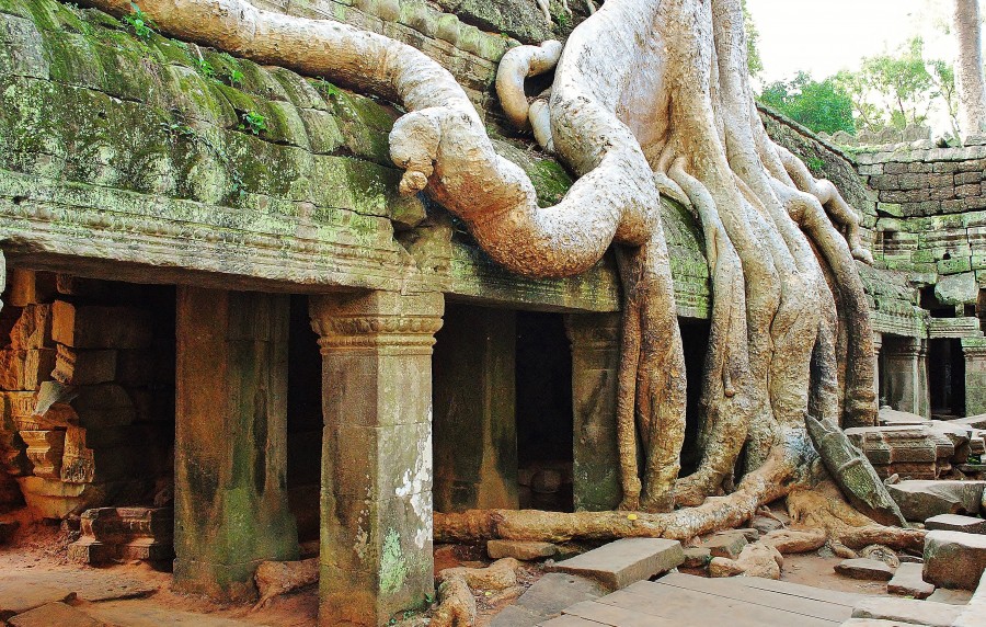 , Świątynie Angkor Wat w Kambodży, Kompas Travel