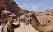 Petra – pustynne miasto Jordanii