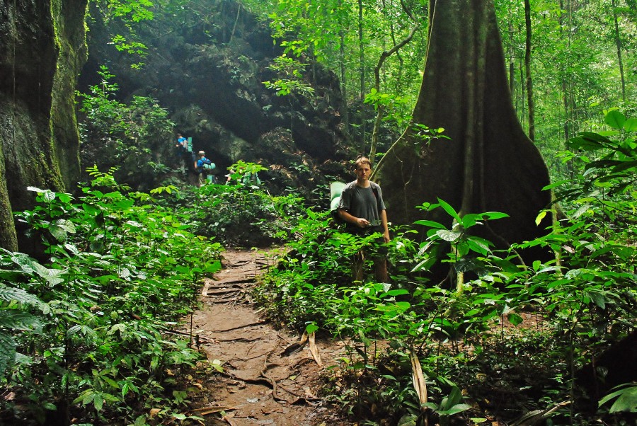 Podczas wyprawy przez dżunglę w parku narodowym Taman Negara. Malezja Zachodnia.