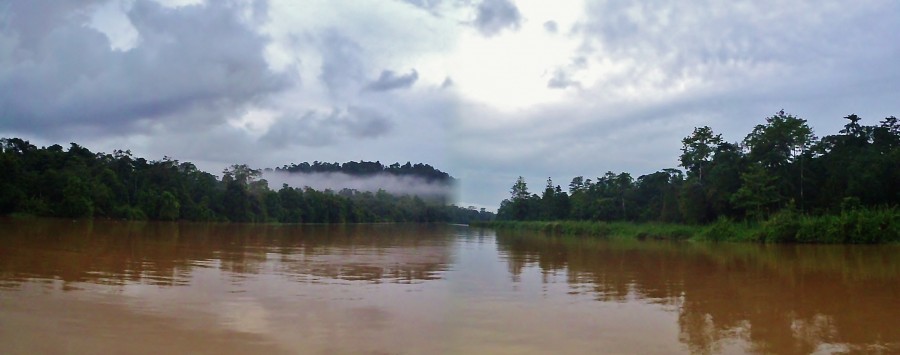 Rzeka Kinabatangan, popularna z powodu przyrody i żyjących tam zwierząt. Sabah, Borneo Malezyjskie.