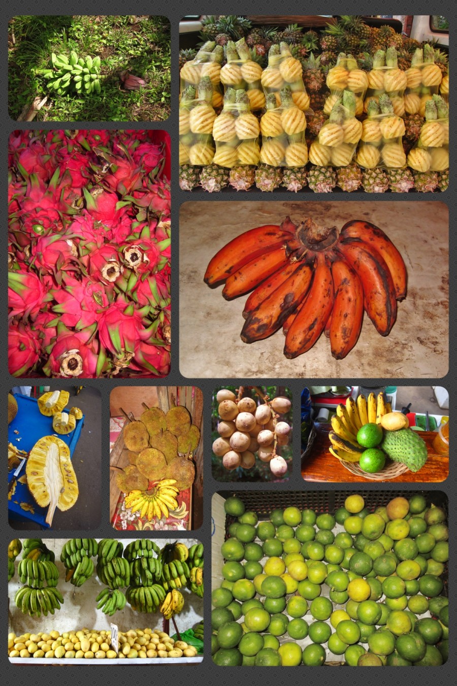 Review of tropical fruits of Asia, although some of them also from South America; such as dragon fruit and guyabano. Calamansi are in the bottom right corner. Please pay attention to the red bananas, because I've never seen this variety in Europe.