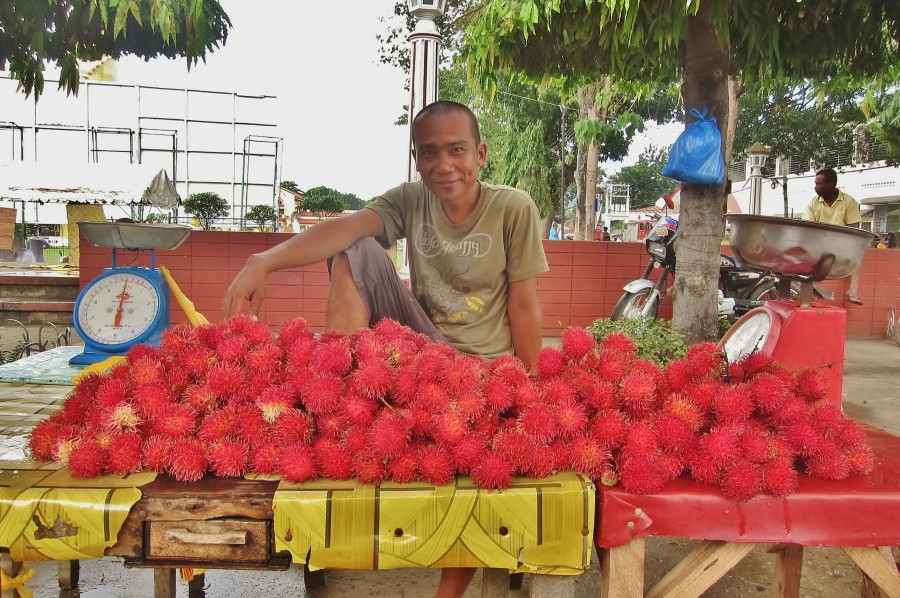Rambutans are common fruit throughout Southeast Asia.