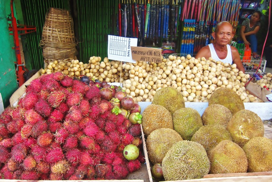 On the left we can see rambutan, and on the right marang. Lanzones are the back.