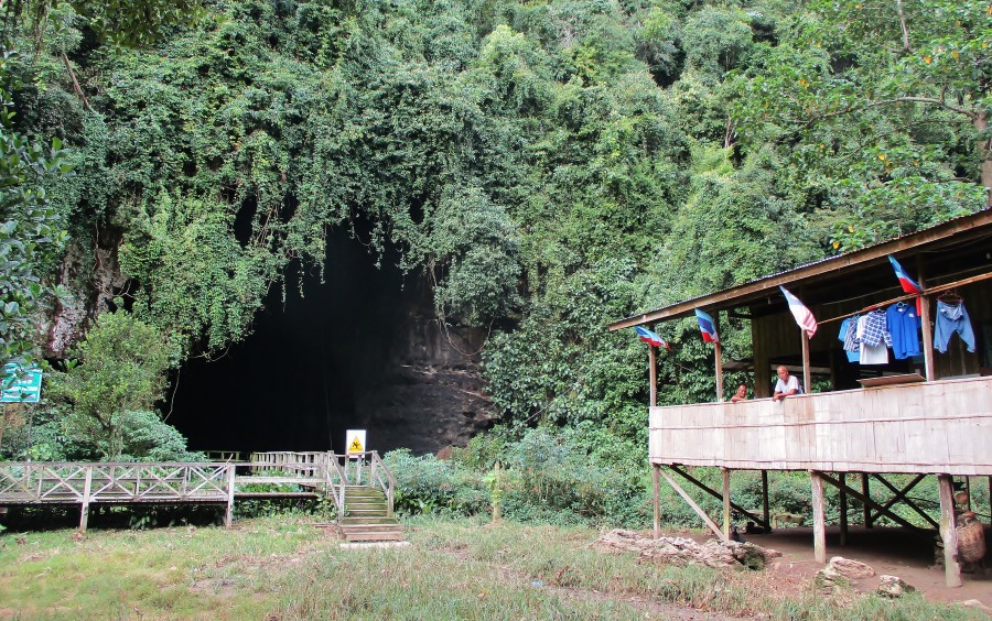Gomantong cave.
