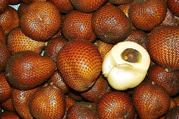 Salak (fruit snake), from Indonesia. It's a must try.