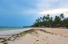 Alona beach Panglao (2)