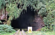 Jaskinia Gumantong (2)