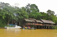 Kinabatangan Borneo (6)