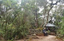 Mount Kinabalu Borneo (46)