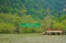 Park Narodowy Bako - Borneo (8)