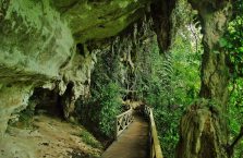 Park Narodowy Niah Borneo (4)