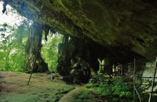 Park Narodowy Niah Borneo (6)