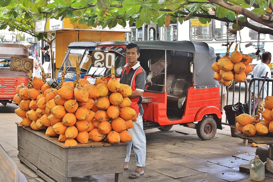 Sprzedawca kokosów na ulicy w Colombo. Sri Lanka.
