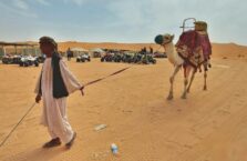 Red sand dunes Saudi Arabia (3)